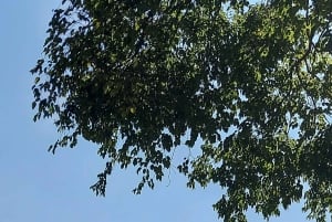 San Paolo: Tour condiviso dei punti salienti della città