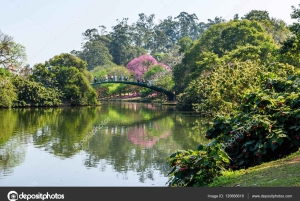 San Paolo: Tour condiviso dei punti salienti della città