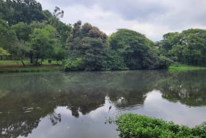 San Paolo: Tour condiviso dei punti salienti della città