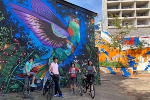 São Paulo : visite à vélo de l'art de la rue