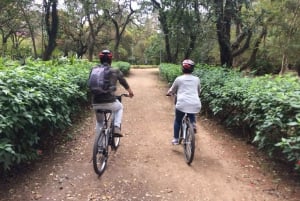 São Paulo : visite à vélo de l'art de la rue