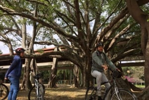 São Paulo : visite à vélo de l'art de la rue