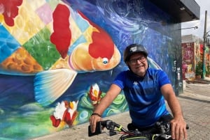 São Paulo : visite à vélo de l'art de la rue