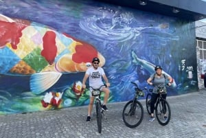 São Paulo : visite à vélo de l'art de la rue