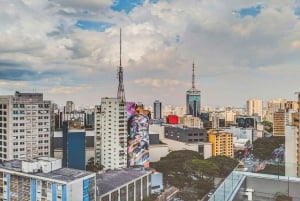 São Paulo: Prywatna wycieczka po sztuce ulicznej