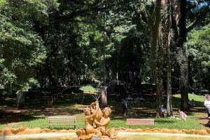 São Paulo: Overleve på portugisisk og lokale tips