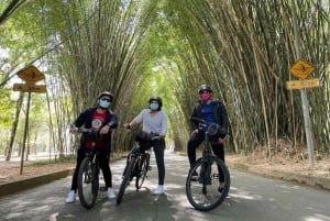 Sao Paulo: siisteimmät kaupunkimaisemat Pyöräretki