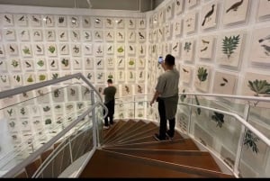 São Paulo: Tour durch die Underground-Kultur und Kunstszene