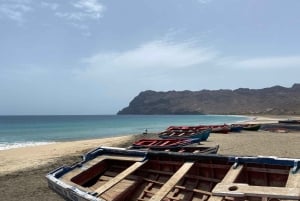 Esperienza di São Pedro (escursionismo e snorkeling con le tartarughe)