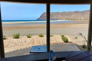 Esperienza di São Pedro (escursionismo e snorkeling con le tartarughe)