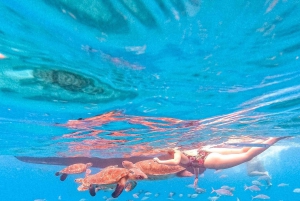 From Mindelo: Snorkel and Swim with Sea Turtles