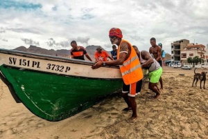 From Mindelo: Snorkel and Swim with Sea Turtles