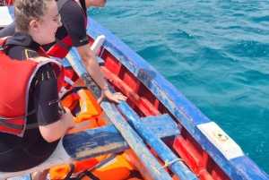 From Mindelo: Snorkel and Swim with Sea Turtles