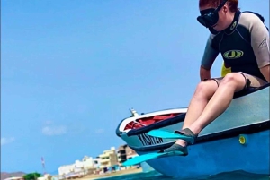 From Mindelo: Snorkel and Swim with Sea Turtles