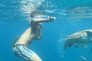 From Mindelo: Snorkel and Swim with Sea Turtles