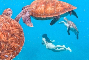 From Mindelo: Snorkel and Swim with Sea Turtles