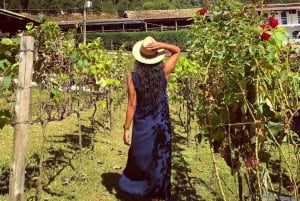Sao Roque: Private Wine Tour with Breakfast and Lunch