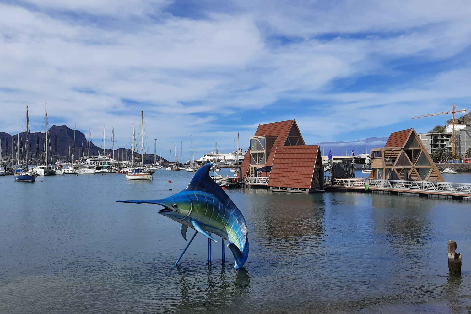 São Vicente : Marchés, plages et parc naturel