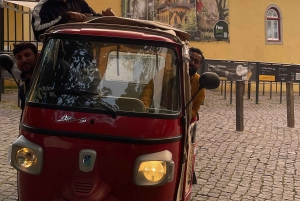 Sintra: Indgangsbillet til Pena-paladset og parken med tuk-tuk-tur