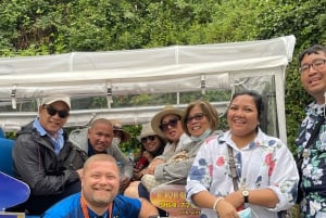 Sintra: Indgangsbillet til Pena-paladset og parken med tuk-tuk-tur