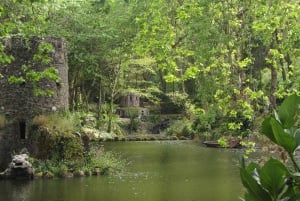Sintra: Giardini del Palazzo Pena e Chalet/Giardino Condessa d'Edla