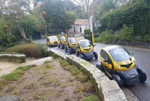 Sintra: Giardini del Palazzo Pena e Chalet/Giardino Condessa d'Edla