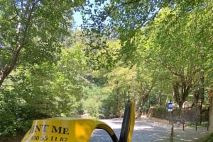 Sintra: Giardini del Palazzo Pena e Chalet/Giardino Condessa d'Edla