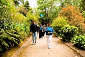 Sintra: Pena Palace Führung