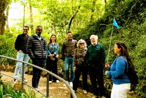 Sintra: Pena Palace Führung