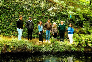 Sintra: Pena Palace Führung
