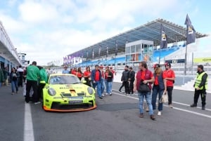 Sintra: Palazzo di Pena, biglietto incluso, escursione giornaliera