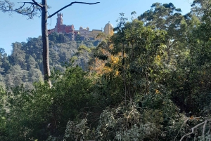 Sintra: Walking to the Sacred Waters & Sightseeing tour