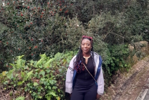 Sintra: Walking to the Sacred Waters & Sightseeing tour