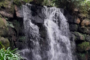 Sintra: Walking to the Sacred Waters & Sightseeing tour