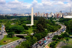 Seks timers byomvisning i São Paulo