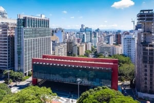 São Paulo: Tour particular sem fila ao Museu de Arte MASP