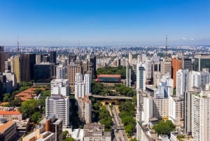 São Paulo: Tour particular sem fila ao Museu de Arte MASP