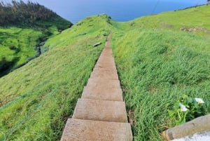 Etelä-Madeira: päiväretki, henkeäsalpaava vuoristo- ja rannikkomatka