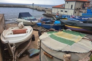 Etelä-Madeira: päiväretki, henkeäsalpaava vuoristo- ja rannikkomatka