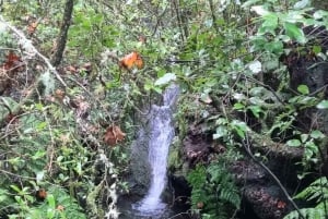 Madeira: Surrealistisk upplevelse i östra delen