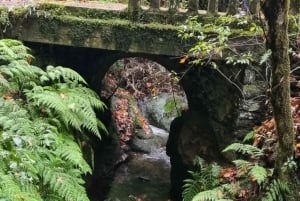 Madeira: Surrealistisk upplevelse i östra delen