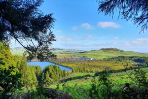 Eiland Terceira: Halve dag wandelen met kaasproeverij