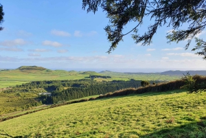 Eiland Terceira: Halve dag wandelen met kaasproeverij