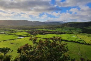 Eiland Terceira: Halve dag wandelen met kaasproeverij