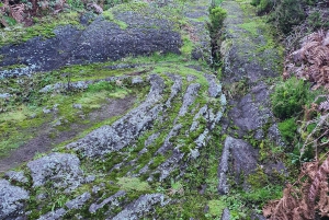 Eiland Terceira: Halve dag wandelen met kaasproeverij