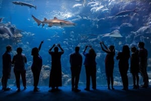 The Florida Aquarium Ticket