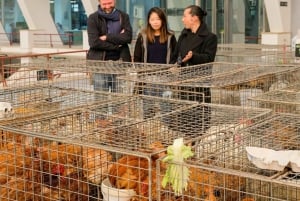 Den eneste smagningstur på et fiskemarked, Sea to Table