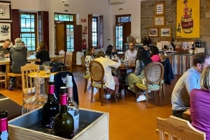 Det bedste af Douro fra Porto: vandretur + besøg + vinprøve + picnic