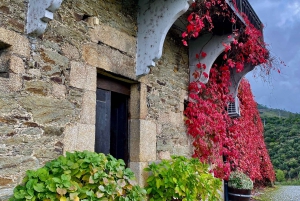 Det bedste af Douro fra Porto: vandretur + besøg + vinprøve + picnic