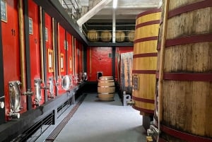 Det bedste af Douro fra Porto: vandretur + besøg + vinprøve + picnic